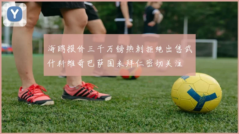 海鸥报价三千万镑热刺拒绝出售武什科维奇巴萨国米拜仁密切关注
