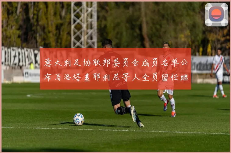 意大利足协联邦委员会成员名单公布马洛塔基耶利尼等人全员留任继续服务